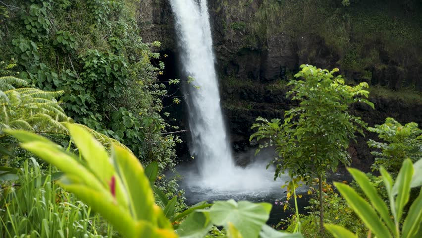 A stunning wide shot of the famous Rainbow Falls surrounded by dense tropical rainforest and vibrant green vegetation, Hawaii Island. High quality 4k footage