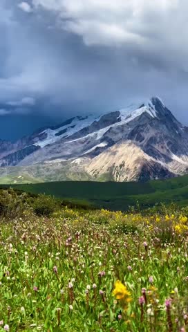 Beautiful mountain landscape with green hills, forest trees and snow covered peaks under blue sky.