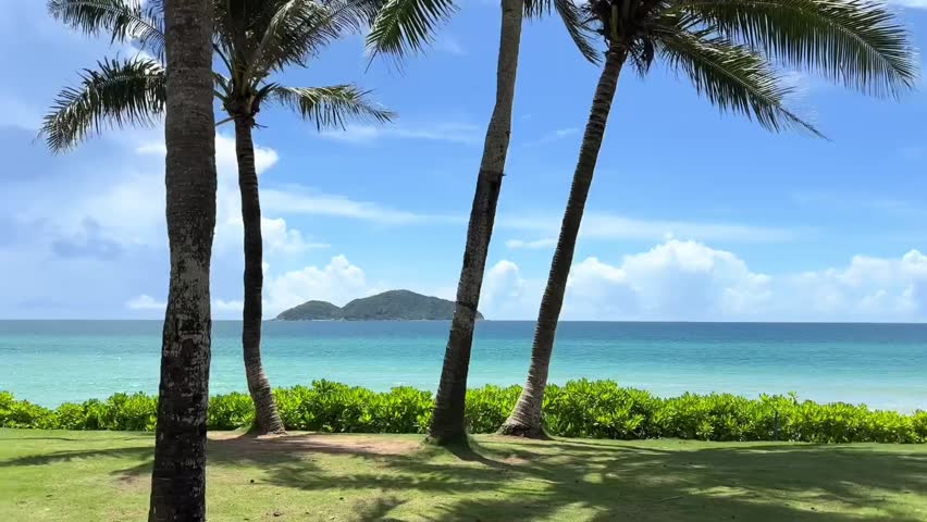 Beautiful tropical beach with palm trees and turquoise ocean water.