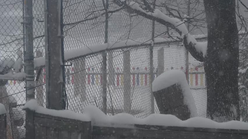 Snowfall looking through a gate towards colourful picket fences.