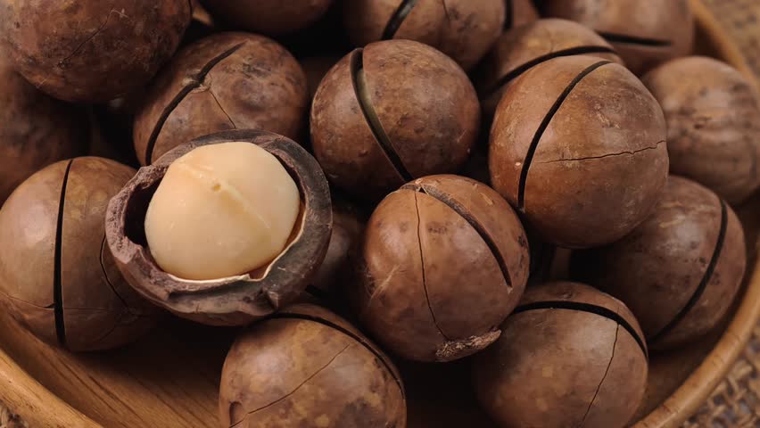 Macadamia nuts both in-shell and shelled
