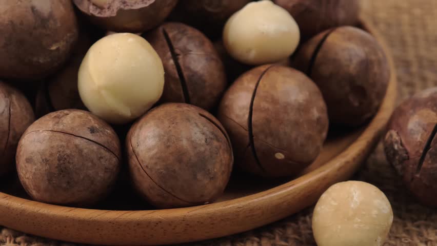 Macadamia nuts both in-shell and shelled