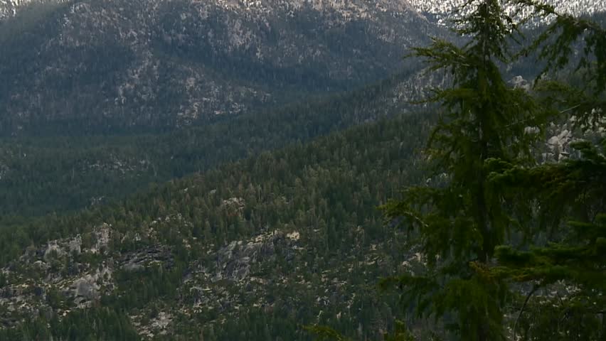 Snow covered Sierra Nevada mountain peaks rising above dense pine forest in Eldorado National Forest, California.