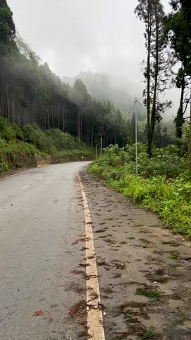 Winding mountain road passing through lush green hillside landscape