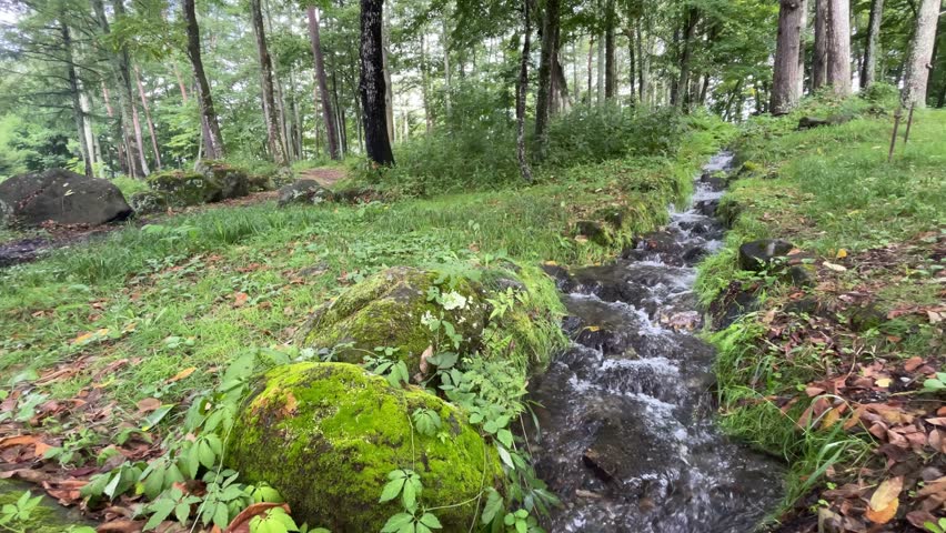 Mountain stream from Sanbuichi spring