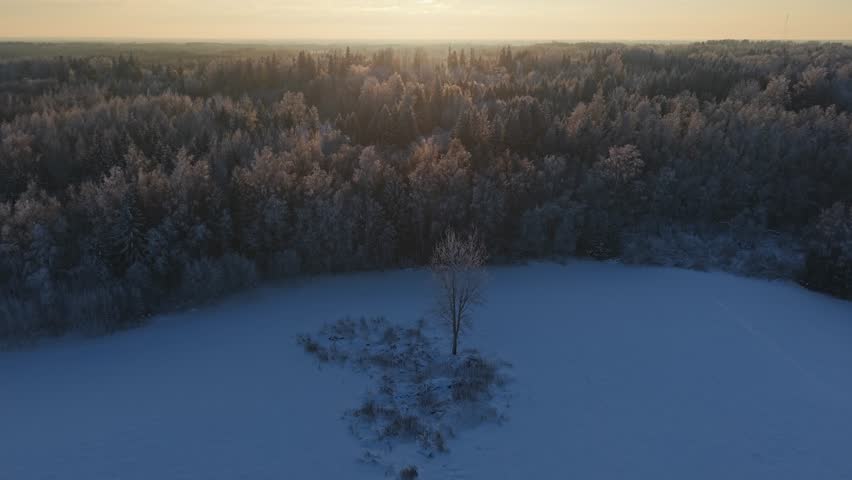Serene winter sunset over snowy forest landscape, evoking calm and wonder