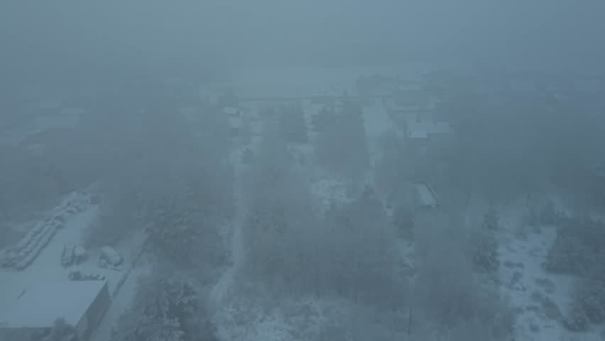 Aerial winter background with snowy woods