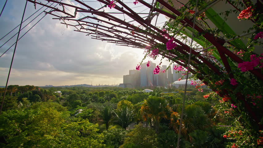 Gardens by the Bay view of Marina Bay Sands in Singapore with stunning cityscape modern architecture and famous tourist attractions in Asia