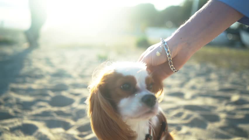 Close-up of a person