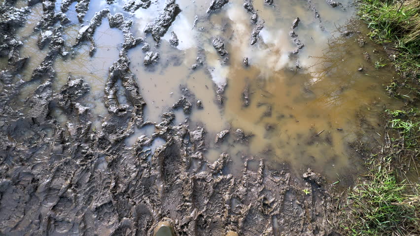 Looking down at the feet of a man wearing wellington boots walking through extreme wet mud after a winter rain storm, Warwickshire, England.