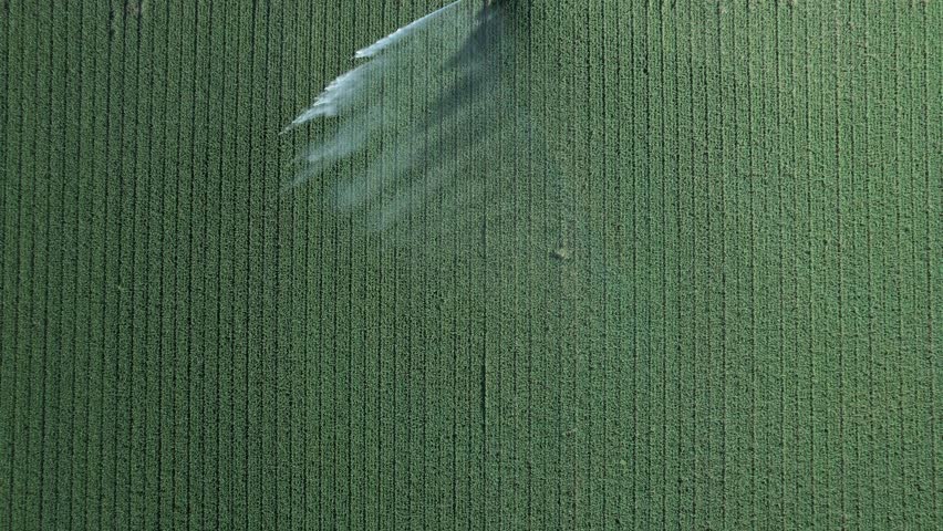 Center pivot irrigation spraying water across soybean corn crop field in Po Valley agricultural landscape, Pianura Padana, Italy, rainbow prism visible in irrigation mist, top down aerial view.