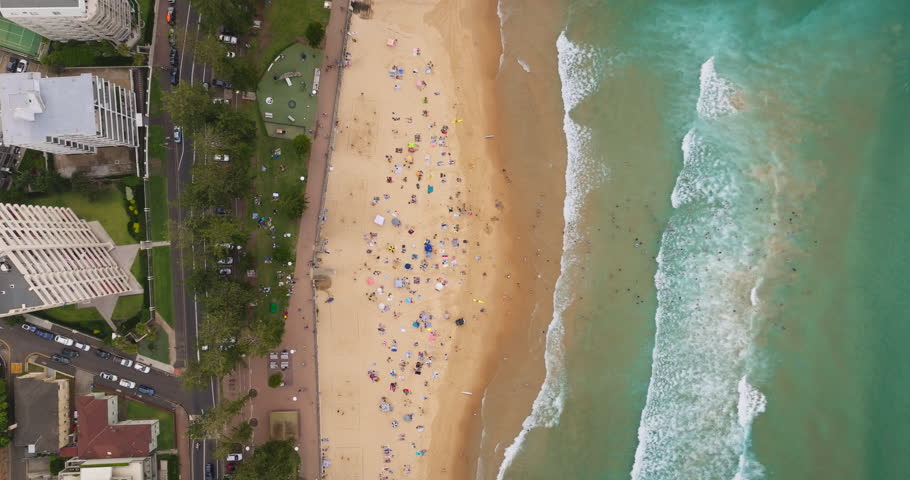 Aerial top down view of Manly Beach in Sydney, displaying people relaxing on the sand, swimming in the ocean, and surfing waves, with coastal urban buildings and green parkland along the shore