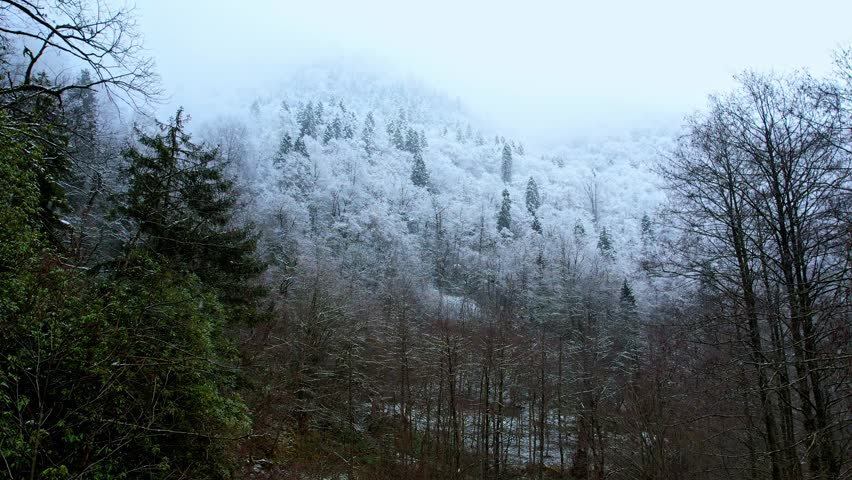 Peaceful winter landscape featuring a misty mountain covered with snow and dense forest. Cinematic nature scenery with frosty trees, foggy atmosphere, and tranquil wilderness during the cold winter season.