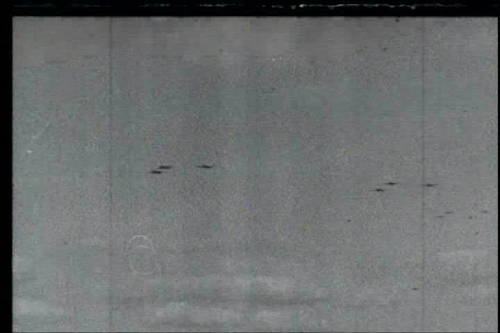 1940s - Combat Bulletin No. 24: Channel Coast Activities; Ordnance Repairs; German Frontier Operations; Airborne Operations; Toulon Harbor Installations