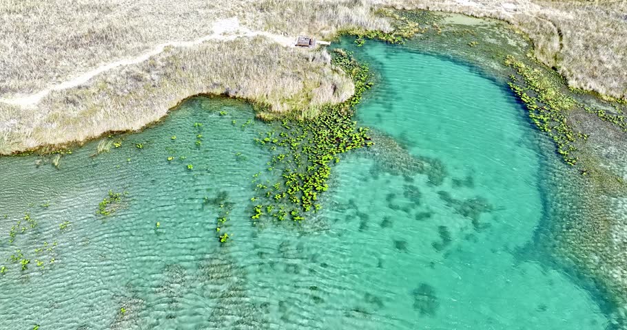 "La Poza Azul " in Cuatro Ciénegas, Coahuila,
is an ancient oasis in the Coahuila Desert, famous for its turquoise waters of subterranean origin and for harboring stromatolites, ancestral microorganisms from more than 3.8 billion years ago that gave rise to life and oxygen on Earth. Declared a protected area in 1994, this unique and undisturbed ecosystem is key for scientific research and the conservation of endemic species