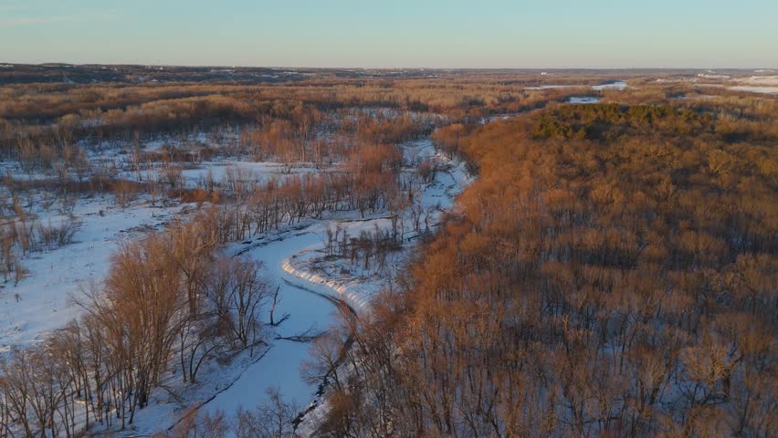 Canopy of trees light up by sunset warm light during winter in a valley, natural landscape in Minnesota