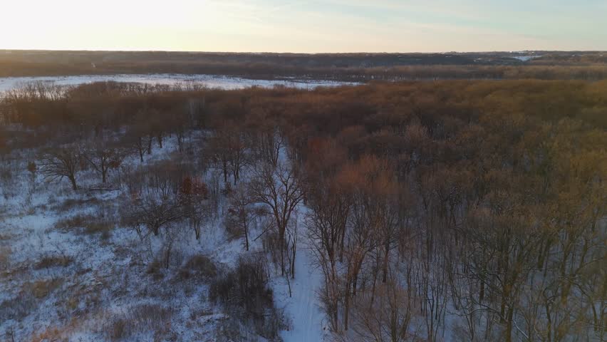 Winter forest during a warm sunset