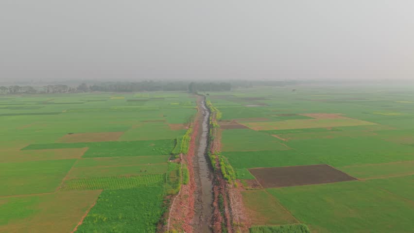 Aerial view of rural landscape with agricultural fields and a dirt path.