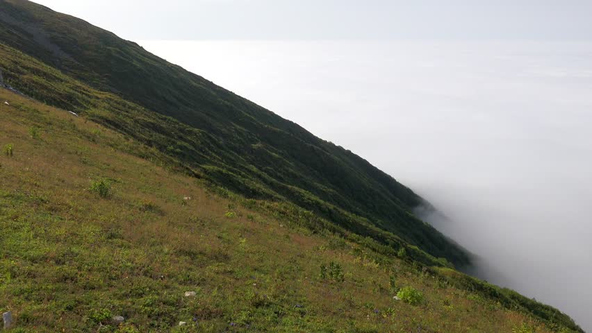 Green mountain meadows and grassy highland slopes rise above a misty valley filled with clouds. Treeless alpine pasture, upland hills overlook fog basin beneath gentle daylight, serene atmosphere.