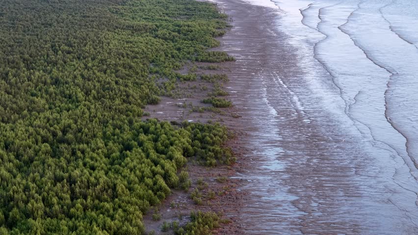 Aerial shot shows mangrove forest along coastal terrain at Penaga, Penang blending with tropical waters.
