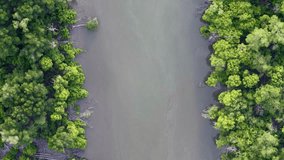 Drone captures top-down view of river channel flanked by dense green mangrove forest. - Powered by Shutterstock - Get 15% off with code: PIKWIZARD15