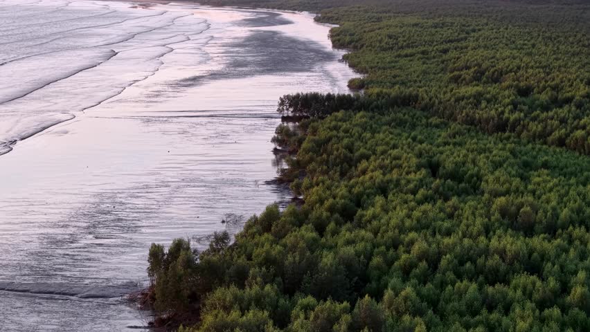Aerial view highlights mangrove forest near coastal boundary at Penaga, Penang forming natural buffer zone.