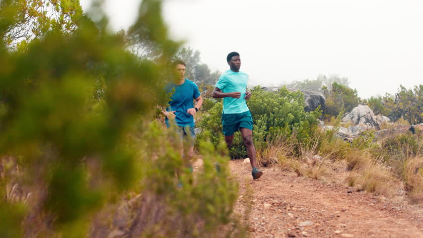 Training, friends and men in nature for running, exercise and cardio workout for wellness. Athlete, mountain and people on outdoor trail with active hobby for health, endurance and runner challenge