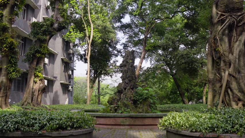 Dappled sunlight casting moving shadows on a rustic historic building wall in a quiet campus garden.