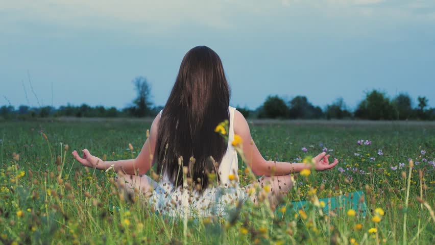 women lifestyle yoga, fitness healthy lifestyle, relaxation female energy, woman field flowers doing yoga against sky, women relax outdoors, beautiful young woman meditating sitting green meadow, fema