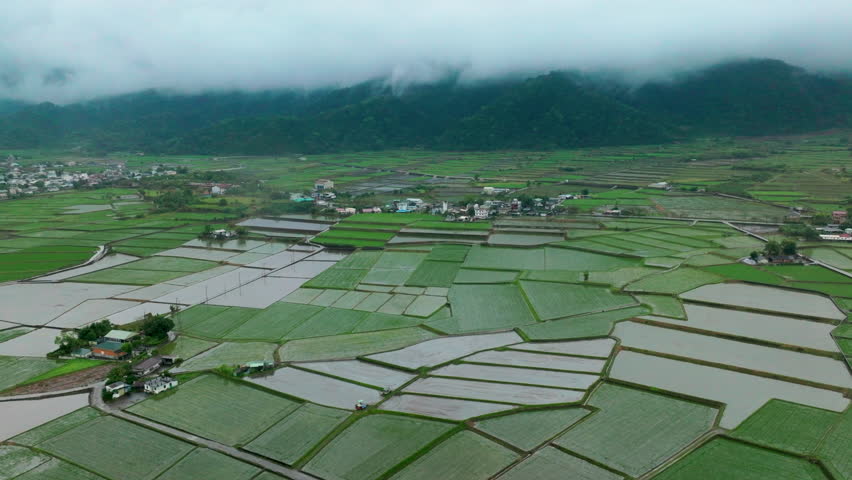 Aerial view of rice paddy fields in Taiwan at rainy 