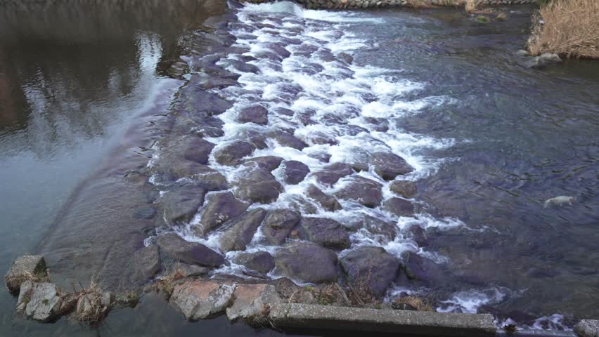 Static Shot of a Rapid River Flowing Over Stones with White Water Foam