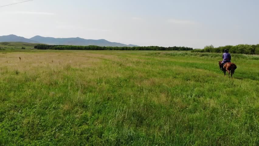Mongolian man wearing traditional Mongolian deel riding a horse at full speed along a grassy riverbank, with rolling green meadows and a clear river in the background, capturing the freedom of nomadic life on the Inner Mongolian steppe