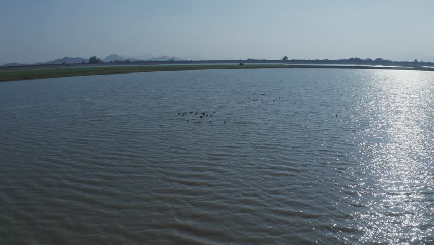 Aerial view of waterfowl resting on the calm surface of reservoir in rural Sirohi, Rajasthan, with distant hills and sunlight reflecting across the water.