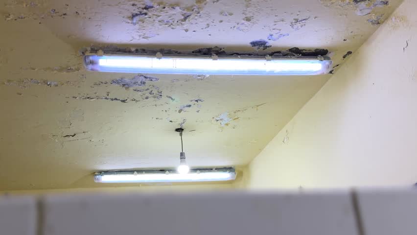 Upward static view of a damaged indoor ceiling with fluorescent tube lights, bare bulb, peeling paint, and dark mold patches in a neglected room interior.