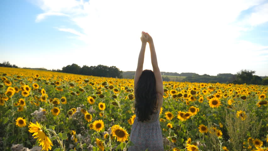 Inspired girl standing among sunflowers field with raised hands. Woman enjoying freedom or beautiful nature. Scenic landscape with bright sunlight at background. Outdoor leisure concept. Back view