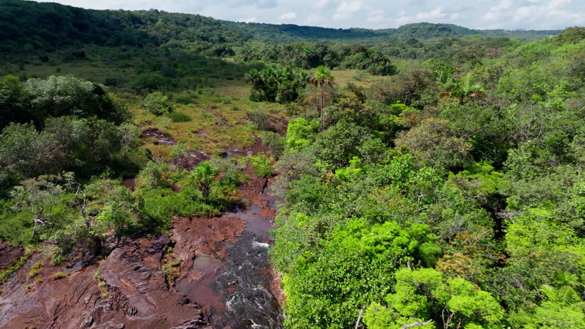 Aerial drone footage of Caño Sabana highlights a vibrant riverbed in Colombia, surrounded by dense jungle and rich natural textures in the Guaviare landscape.
