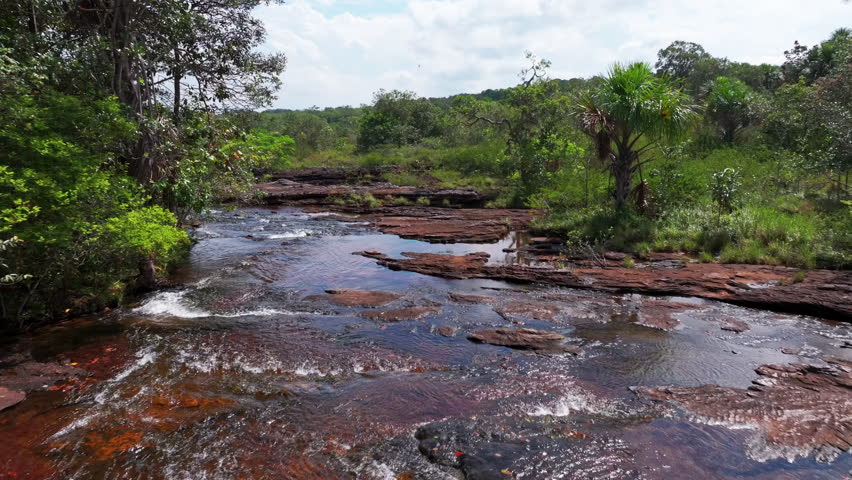Drone view above Caño Sabana captures the colorful river flowing through tropical forest, revealing vivid patterns and remote wilderness in Guaviare, Colombia.