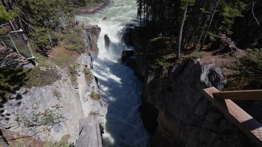 Sunwapta Falls churning through canyon in Jasper National Park in the Canadian Rockies