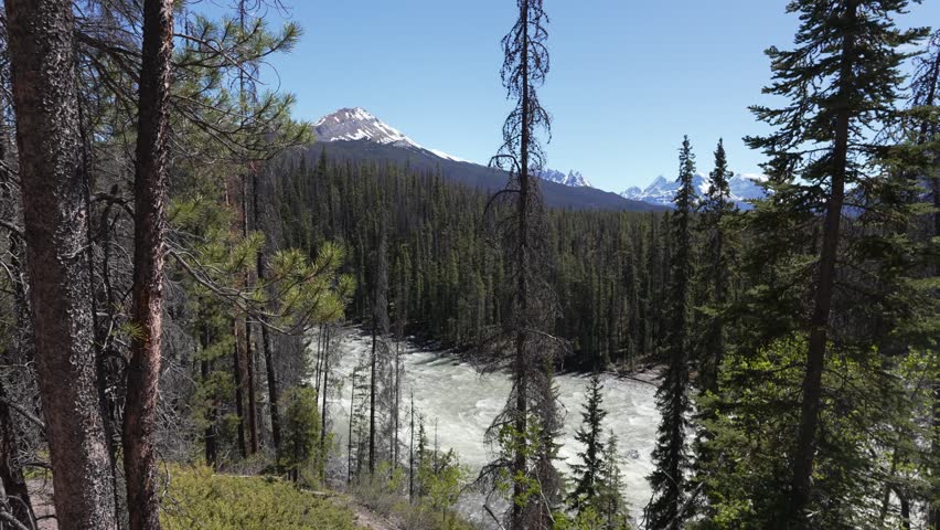 Athabasca River flowing through Jasper National Park wilderness