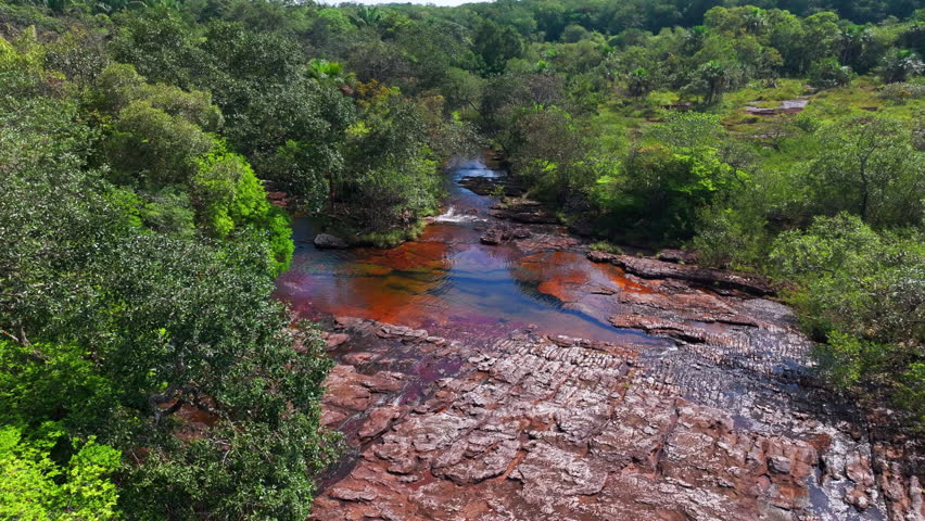 Aerial view over Caño Sabana shows a vibrant river channel surrounded by dense forest, capturing the wild beauty of Colombia’s tropical interior.