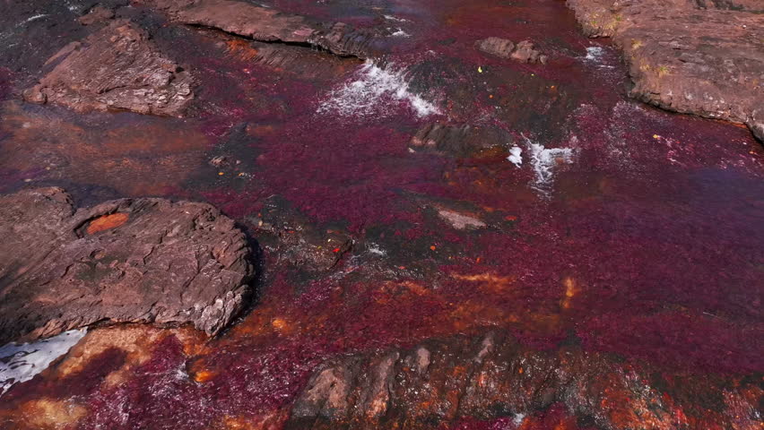 Drone footage above Caño Sabana captures the river’s colorful appearance, surrounding rainforest, and the untouched environment of Guaviare, Colombia.