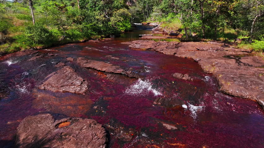 Aerial drone shot of Caño Sabana reveals a vibrant river in Guaviare, Colombia, with colorful waters, surrounding forest, and striking natural textures from above.