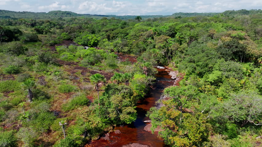 Drone view over a river at sunrise in the Amazon rainforest, capturing golden morning light, calm water reflections, and dense tropical forest stretching into the distance.