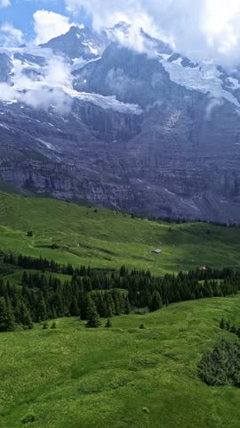 Majestic snow‑capped mountains in Switzerland rising above green alpine meadows.