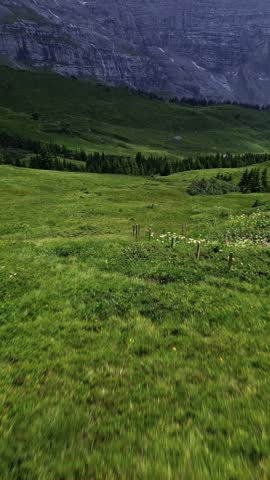 Majestic snow‑capped mountains in Switzerland rising above green alpine meadows.