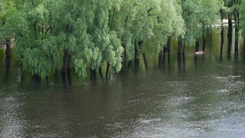 Flooded trees and bench during river flood in city park. Spring flooding after melting ice and snow, rising water levels. Swollen river covered coastal recreation areas of city.