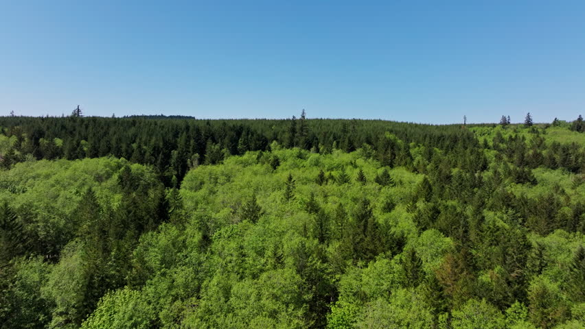 Drone view of Olympic National Park in Washington State, capturing vast forests, mountain ridges, and the wild natural landscape of the Pacific Northwest from above.