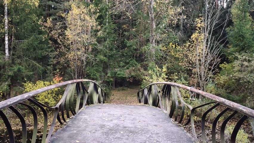 Aspen, birch, pine and spruce trees grow on the grassy banks of the river. A pedestrian concrete bridge with a metal fence spans the river. Sunny autumn weather, yellow leaves and leaf fall