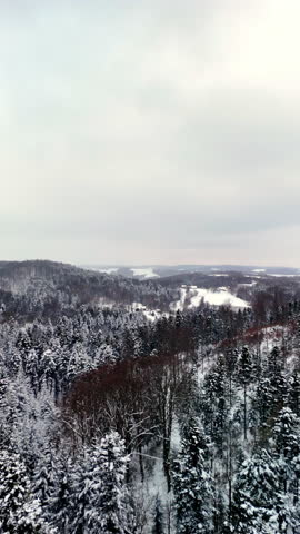Aerial drone view flying above snowy forest hills in winter landscape. Camera moves forward revealing dense trees covered with snow and quiet seasonal scenery.