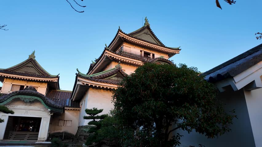 Wakayama Castle in Autumn A Scenic View in Wakayama City